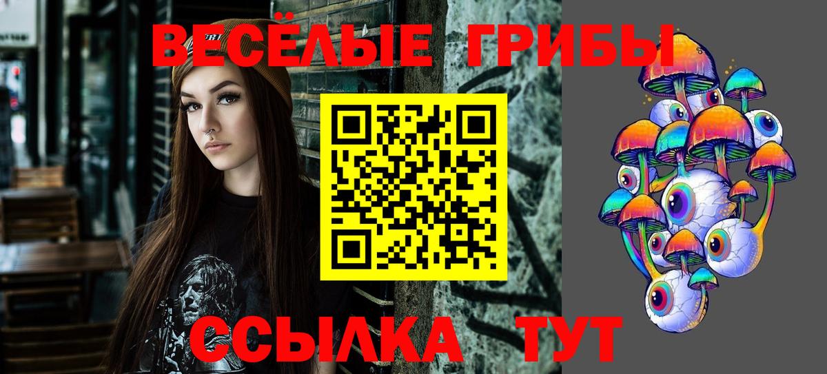 Псилоцибиновые грибы GOLDEN TEACHER  Галлюциногенные грибы Psilocybe  Железноводск  Вход с VPN 